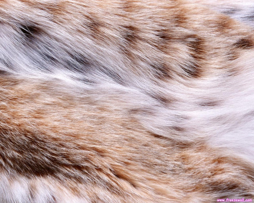 393559 (a): :1280x1024